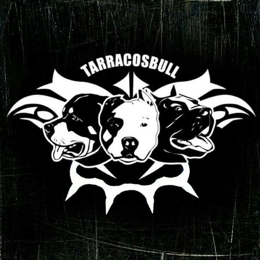 Tarracosbull Internacional